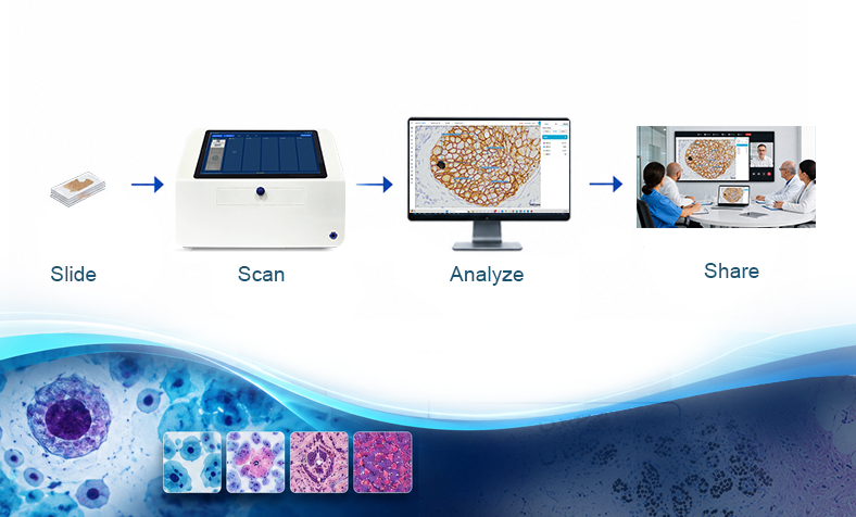 How-Digital-Pathology-Reduces-Turnaround-Time-in-Modern-Labs