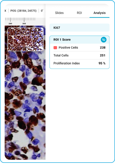 Software Output Panel