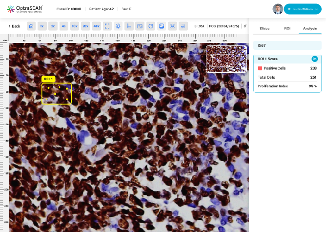 Software Output Panel