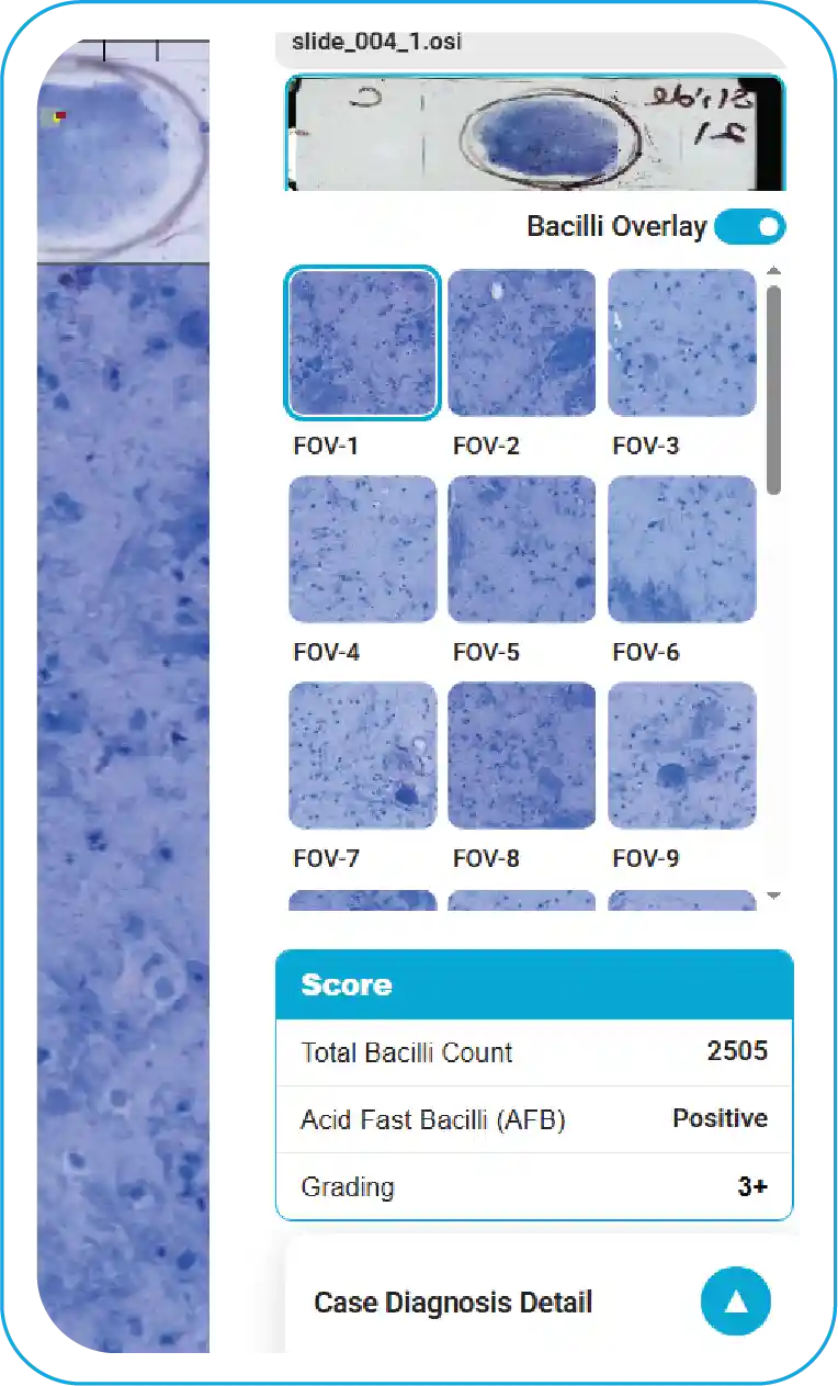 Software Output Panel