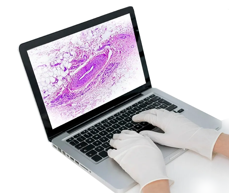 a_complete_overview_of_dgt_histopathology_img